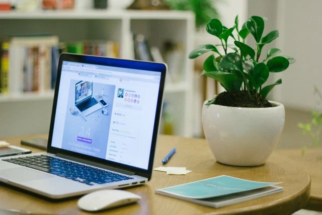 Web Design Development London